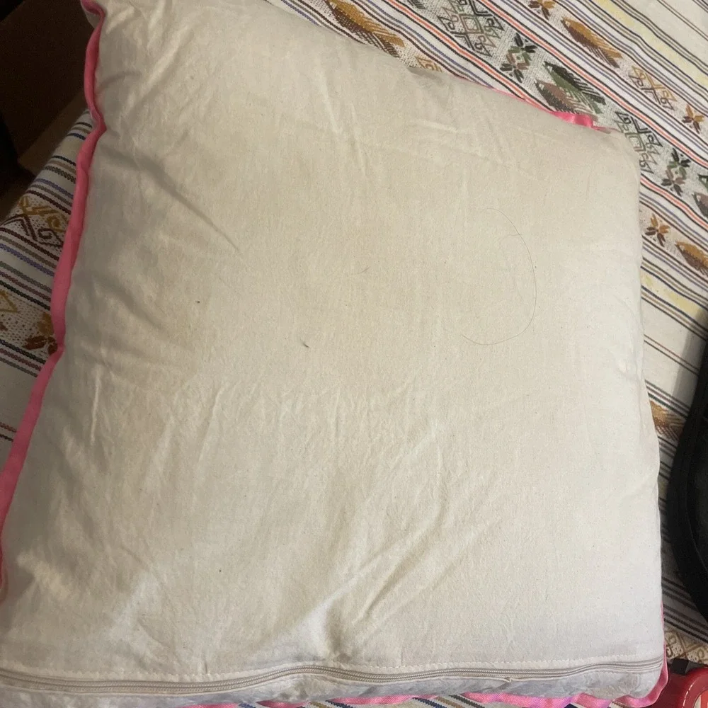 Hand Painted Pink Floral Pillow Case (pink Satin Trim) W/ Pillow‎ From Argentina